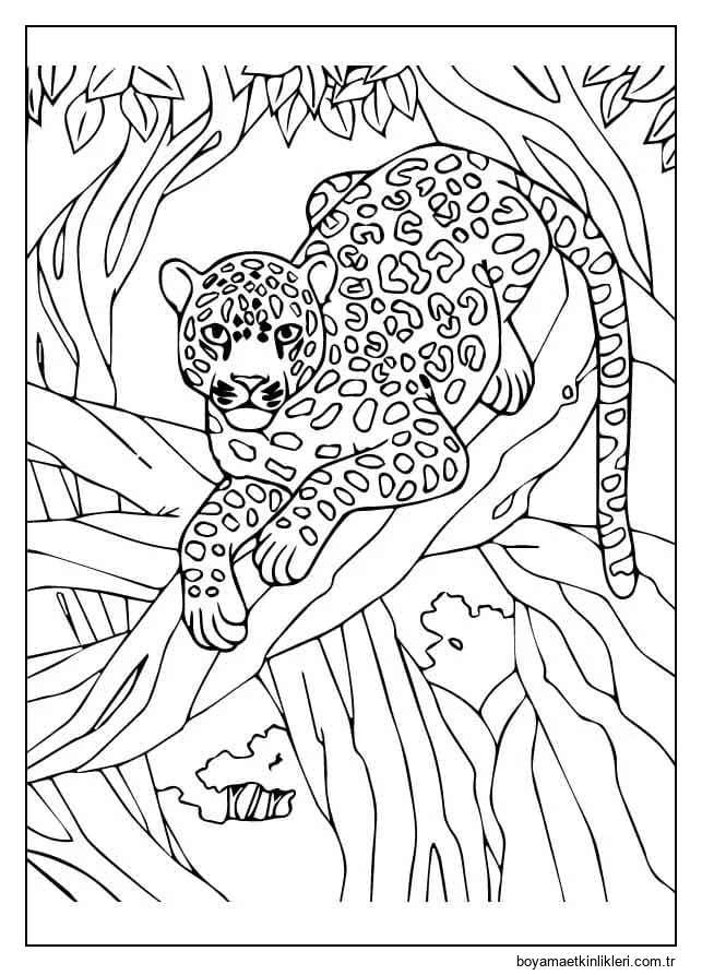 Ağaçta Leopar