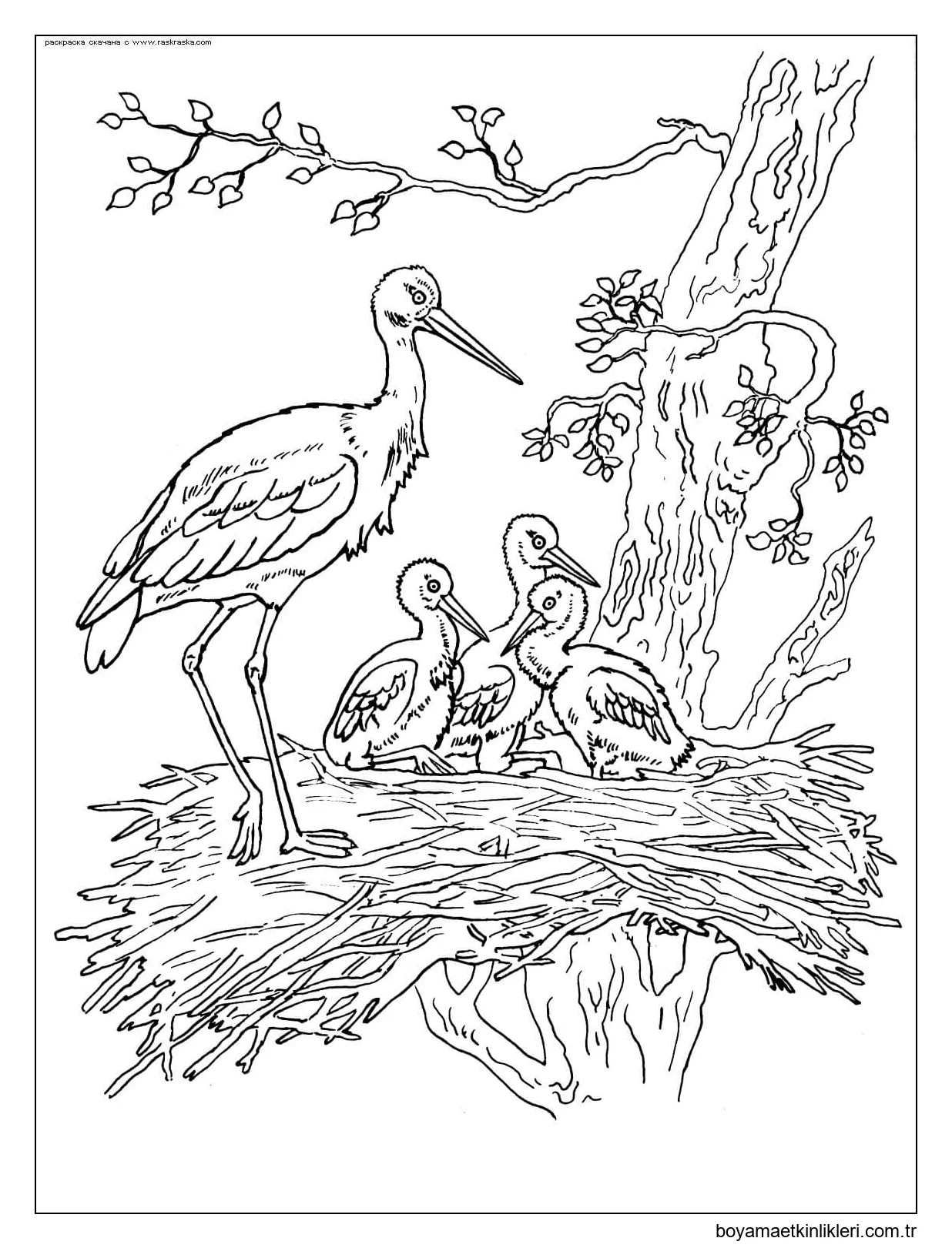 Ağaçtaki Leylek Ailesi