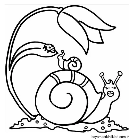 Anne Salyangoz ve Bebek Salyangoz