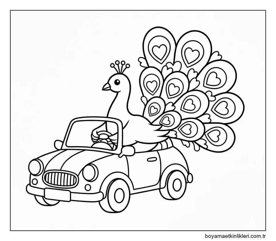 Araba Kullanan Tavuskuşu