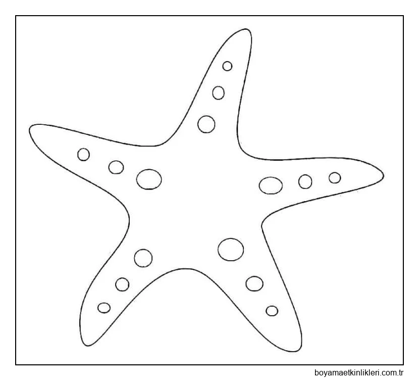 Basit Denizyıldızı