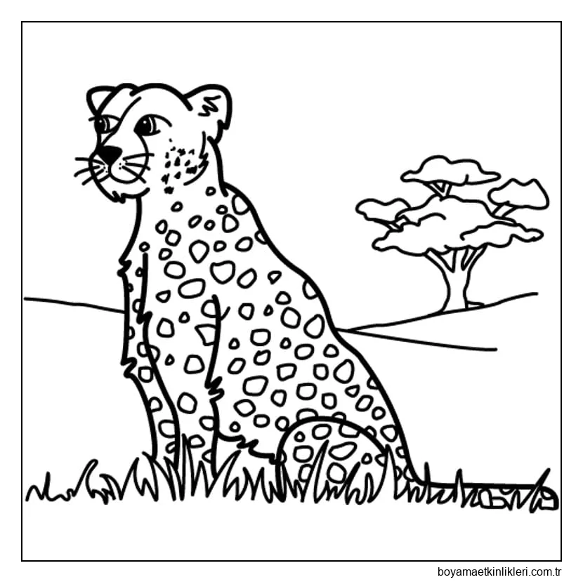 Çimenlerin Üzerinde Oturan Leopar