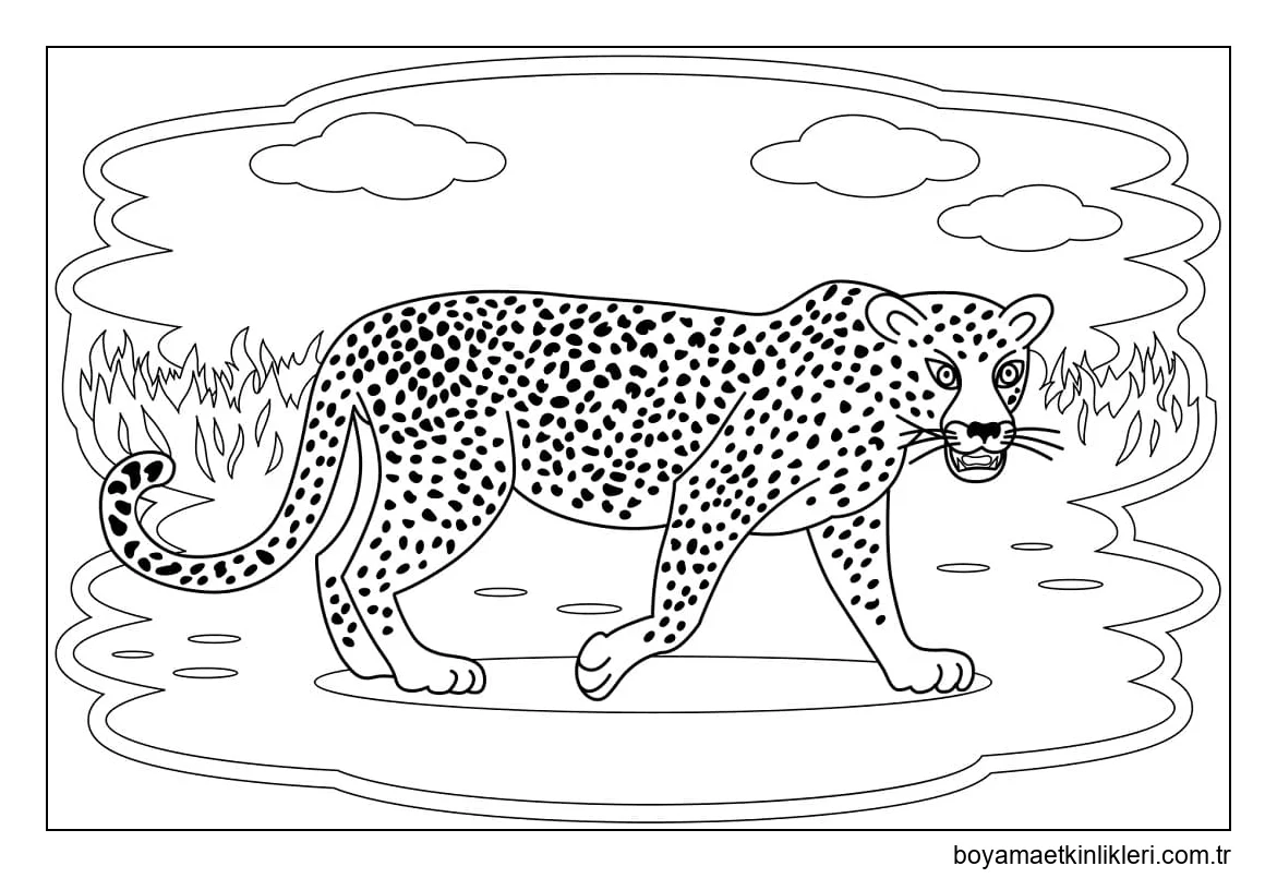Çocuk için Leopar