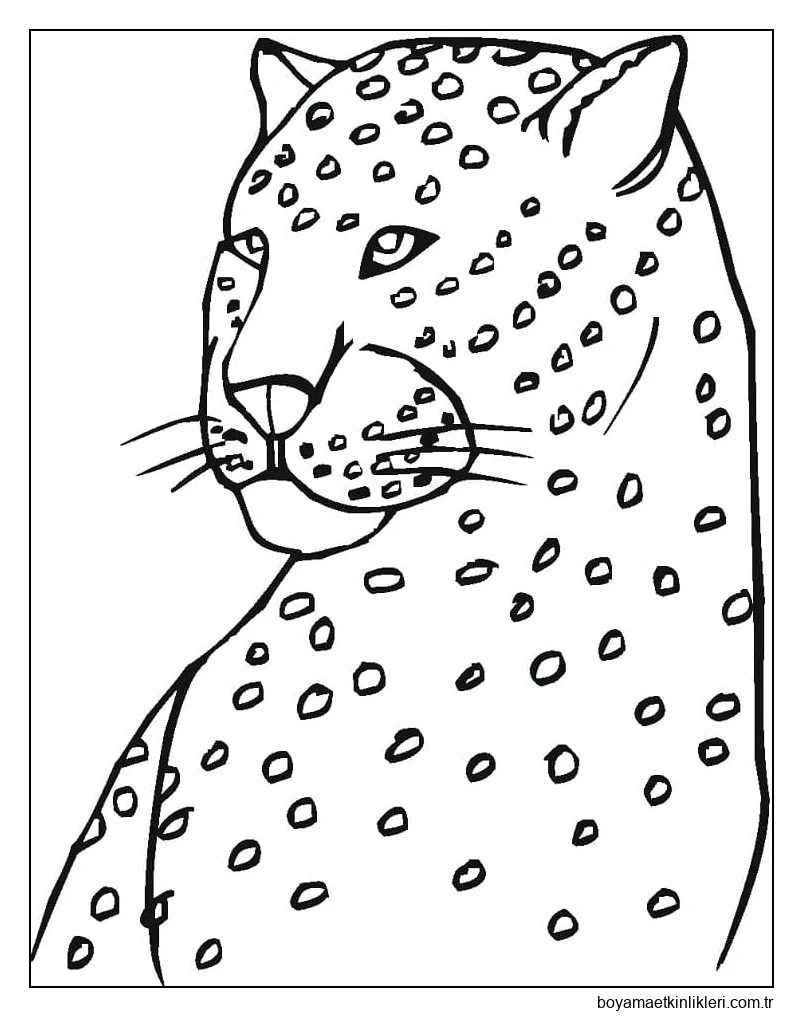 Çocuklar için Leopar