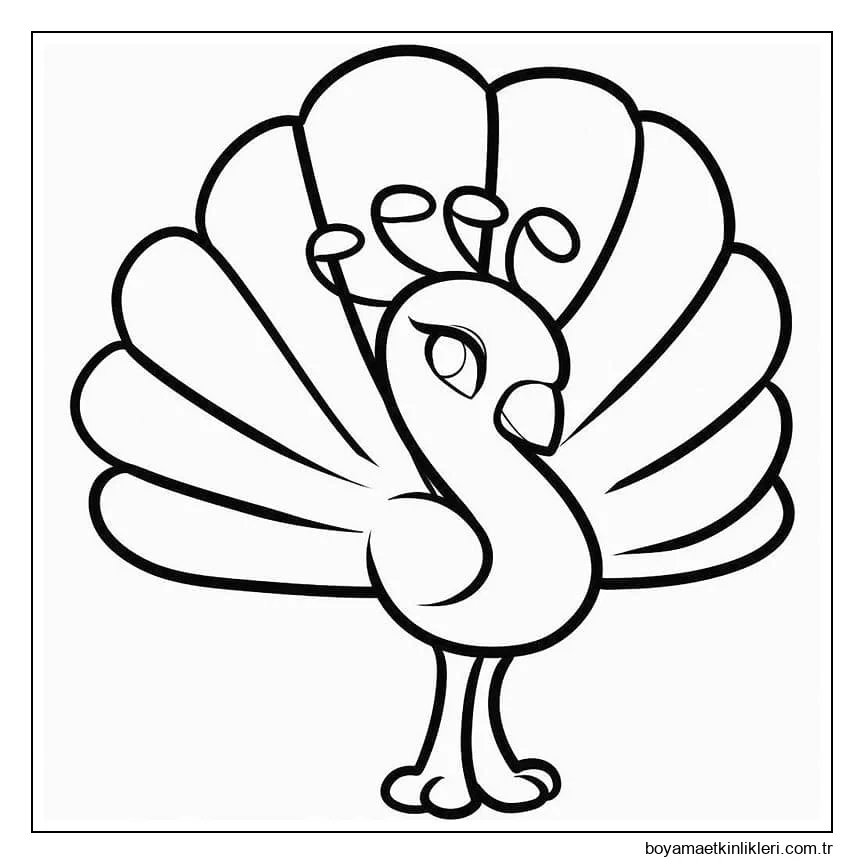 Çok Hoş Tavuskuşu