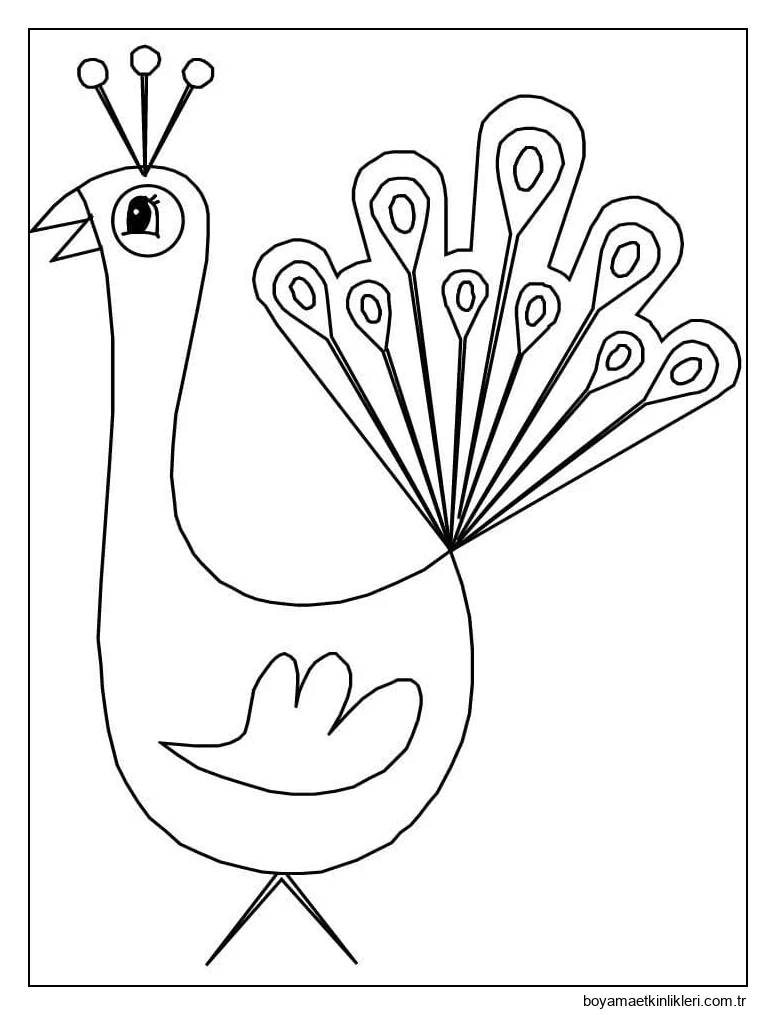 Çok Kolay Tavuskuşu