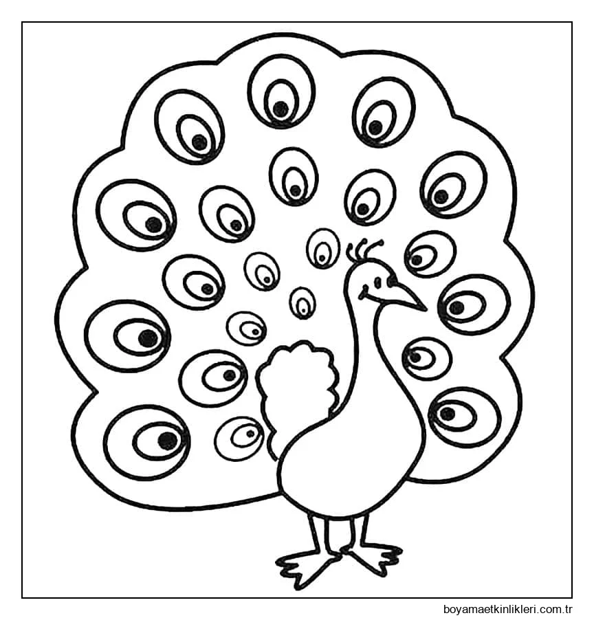 Gülümseyen Tavuskuşu