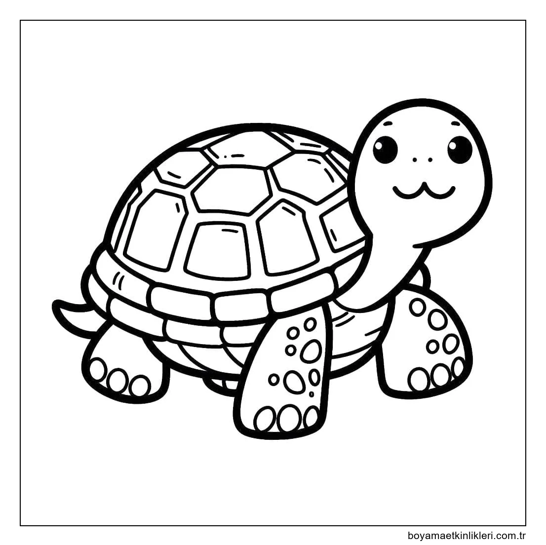 Kaplumbağa 3