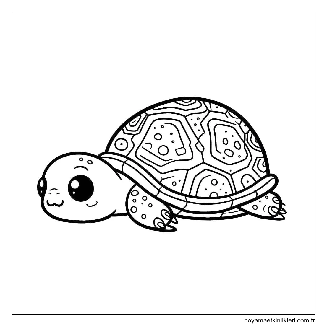 Kaplumbağa 6