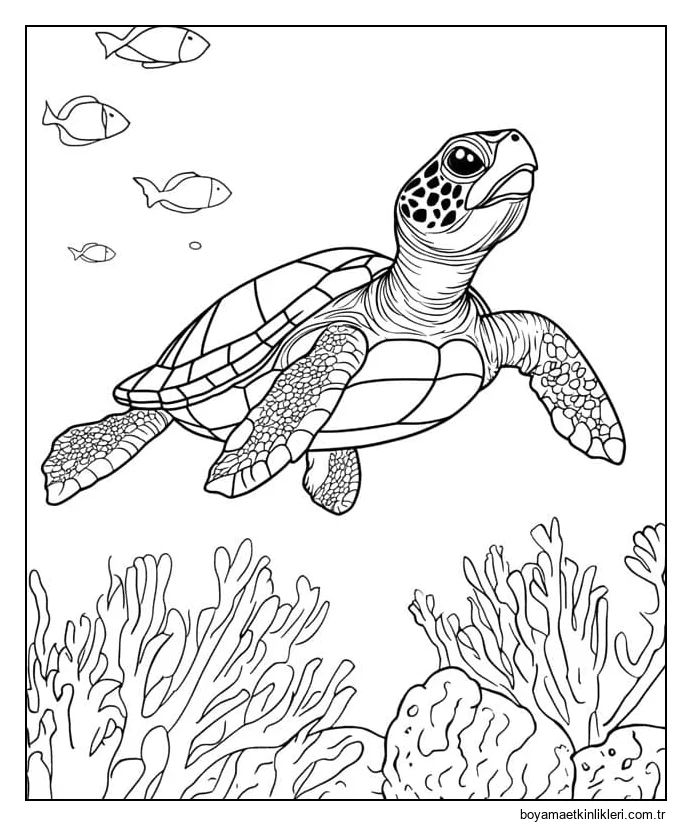 Kaplumbağa çizimi ücretsiz yazdırılabilir