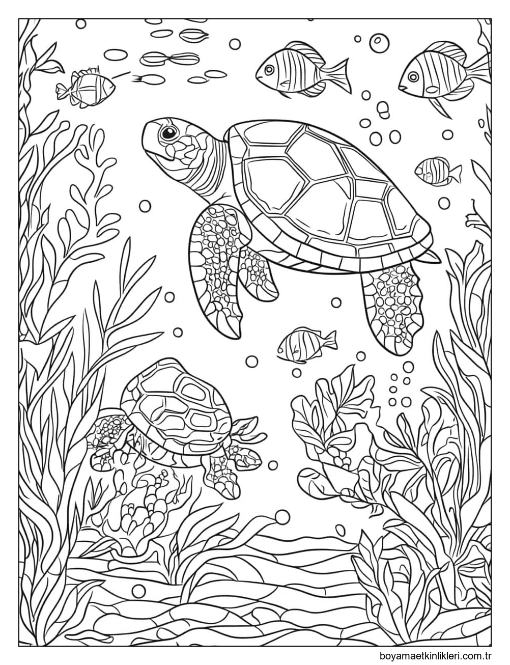 Kaplumbağa denizi çiz