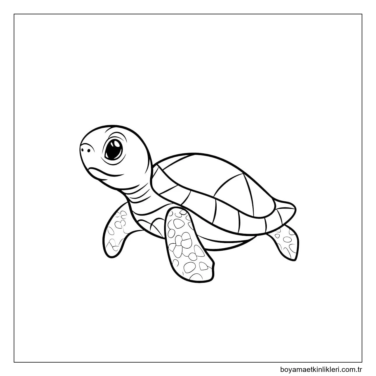 Kaplumbağa'yı ücretsiz çiz