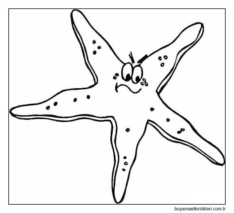 Kızgın Bir Denizyıldızı