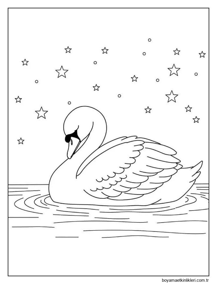 Kuğu ve Yıldızlar