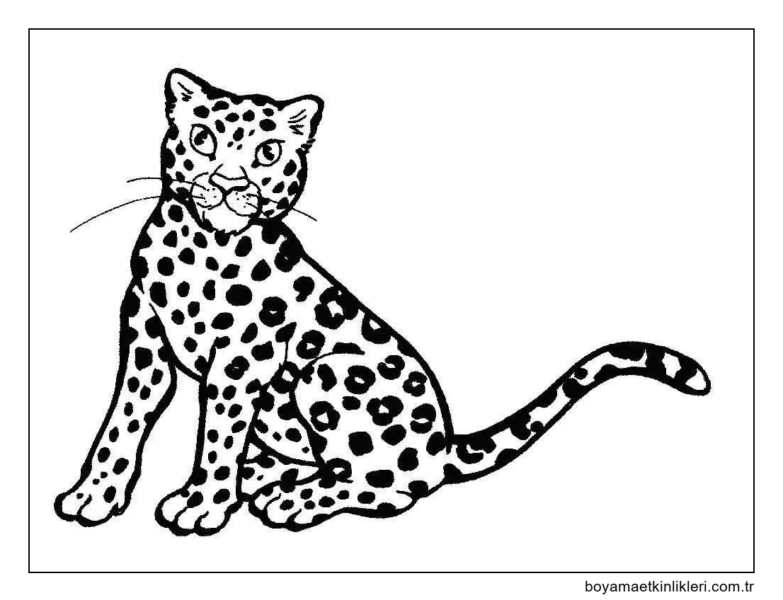 Leopar Oturma