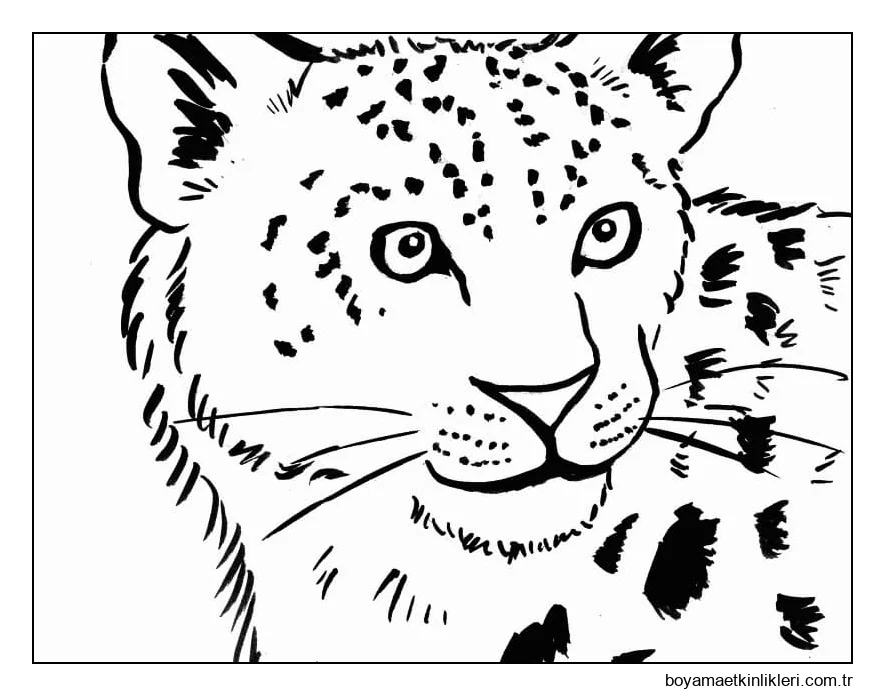 Leopar Yüz