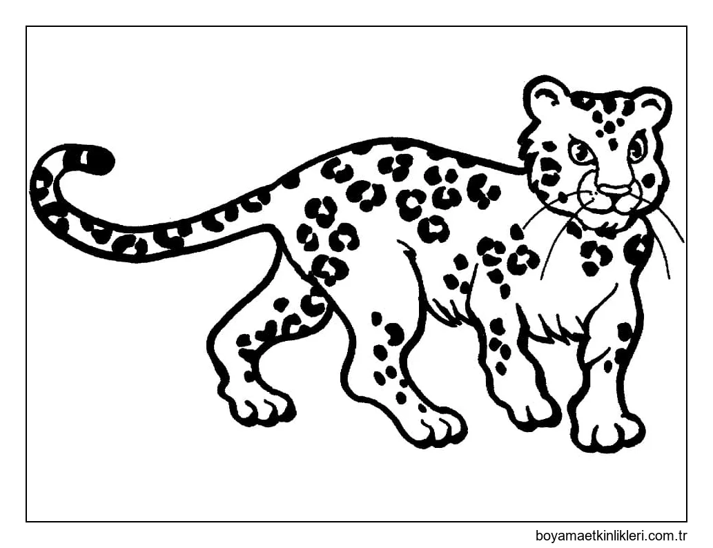 Leopardan Renge