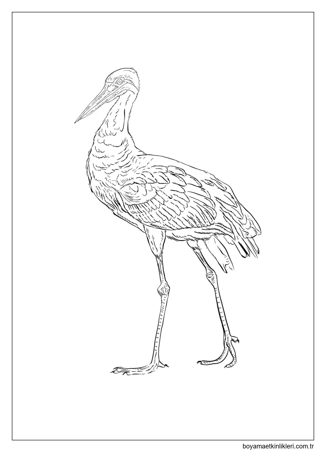 Leylek Yürüyüşü