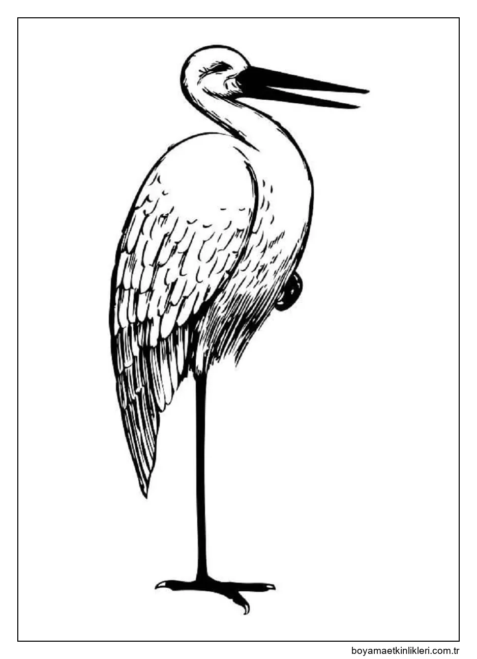 Leyleksiz Görüntüler