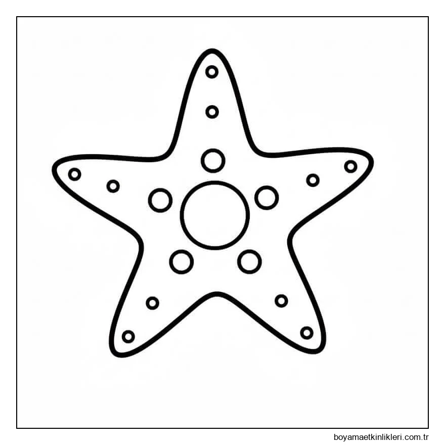 Mükemmel Denizyıldızı