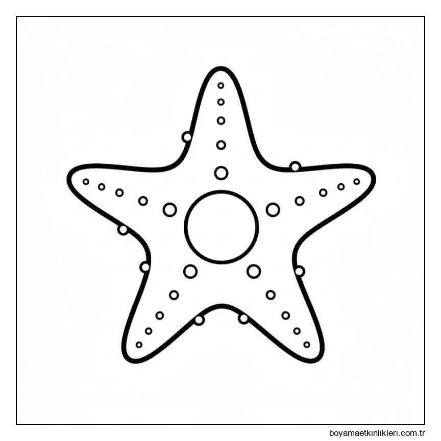 Okyanus Denizyıldızı