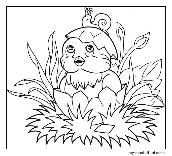 Salyangoz üstünde Kuş