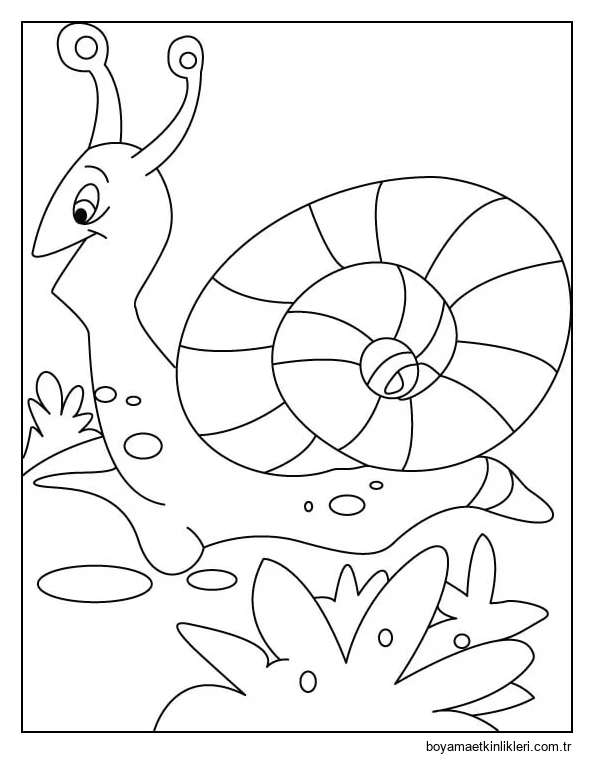 Şaşırtıcı Salyangoz