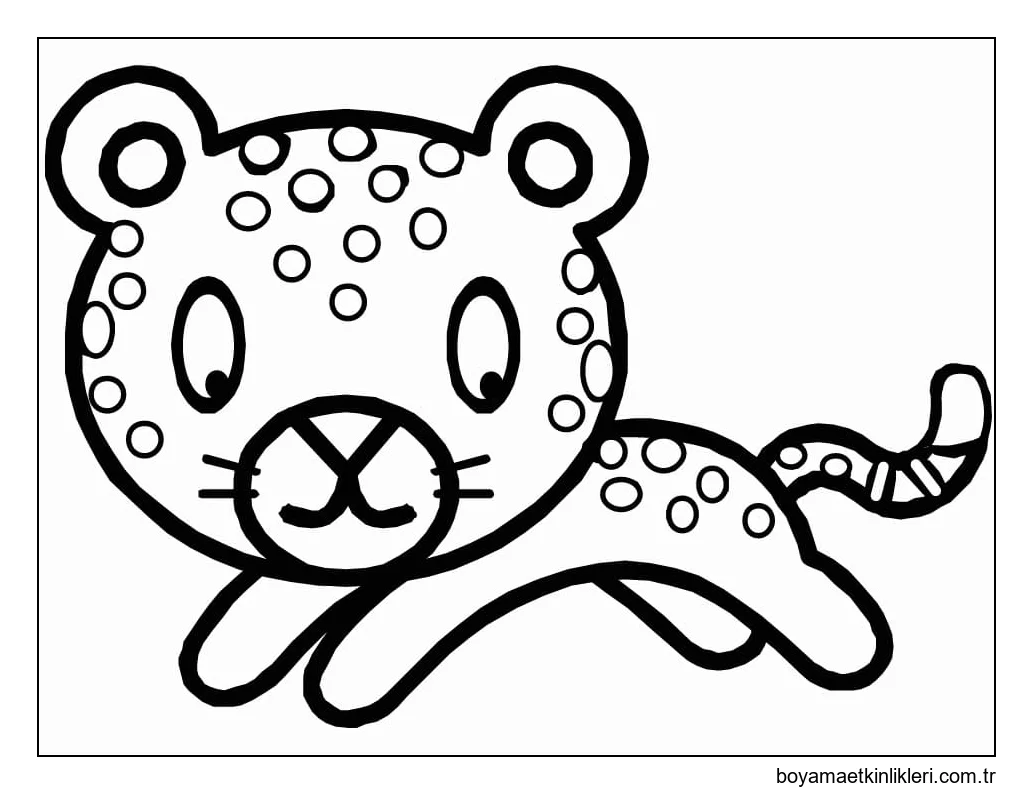 Sevimli Küçük Leopar