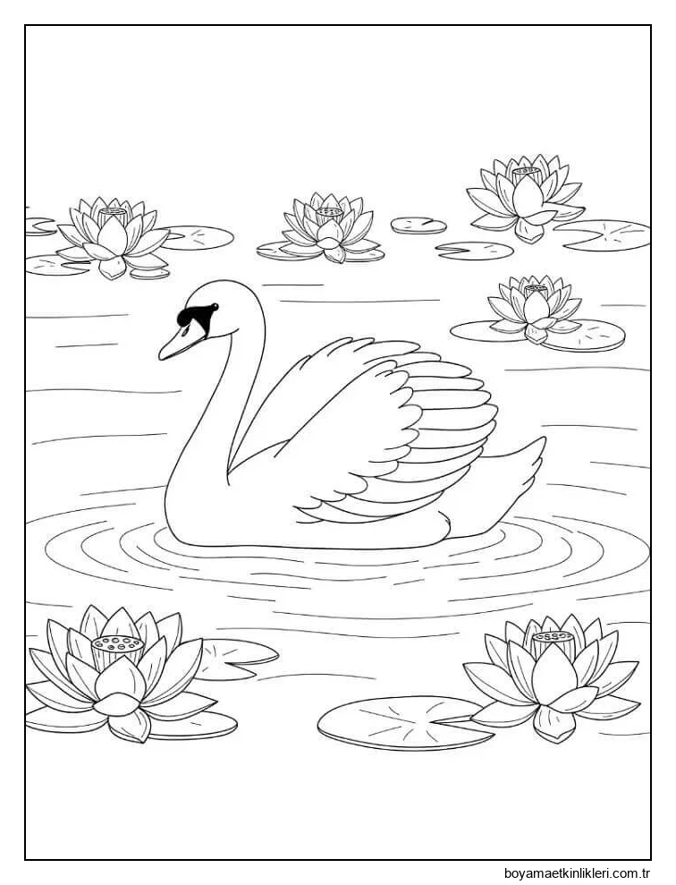 Ücretsiz Olarak Kuğu