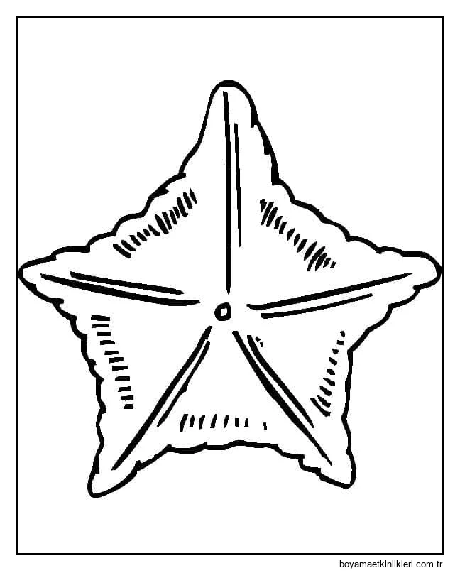Ücretsiz Yazdırılabilir Denizyıldızı