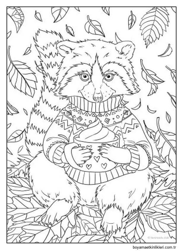 Yapraklı Kek Tutan Rakun