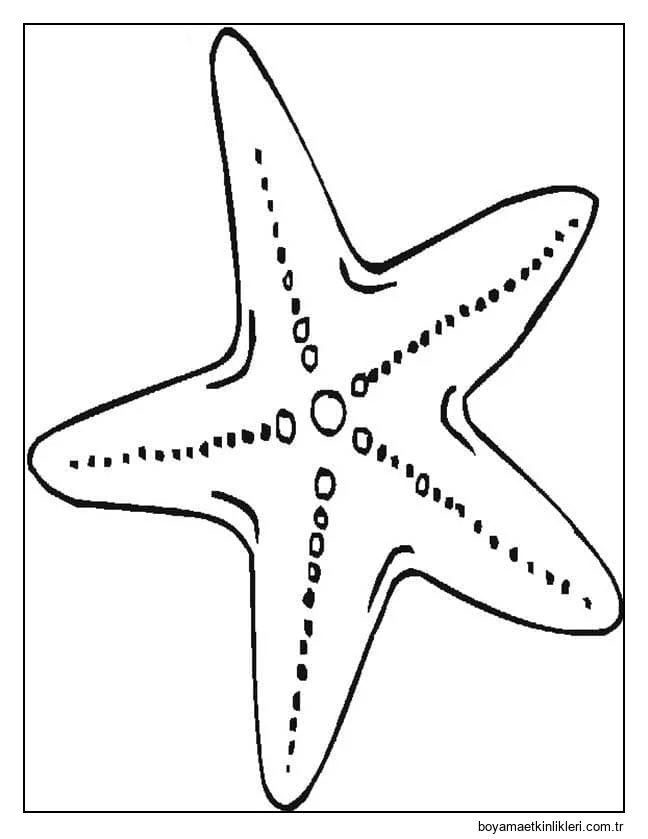 Yazdır Denizyıldızı