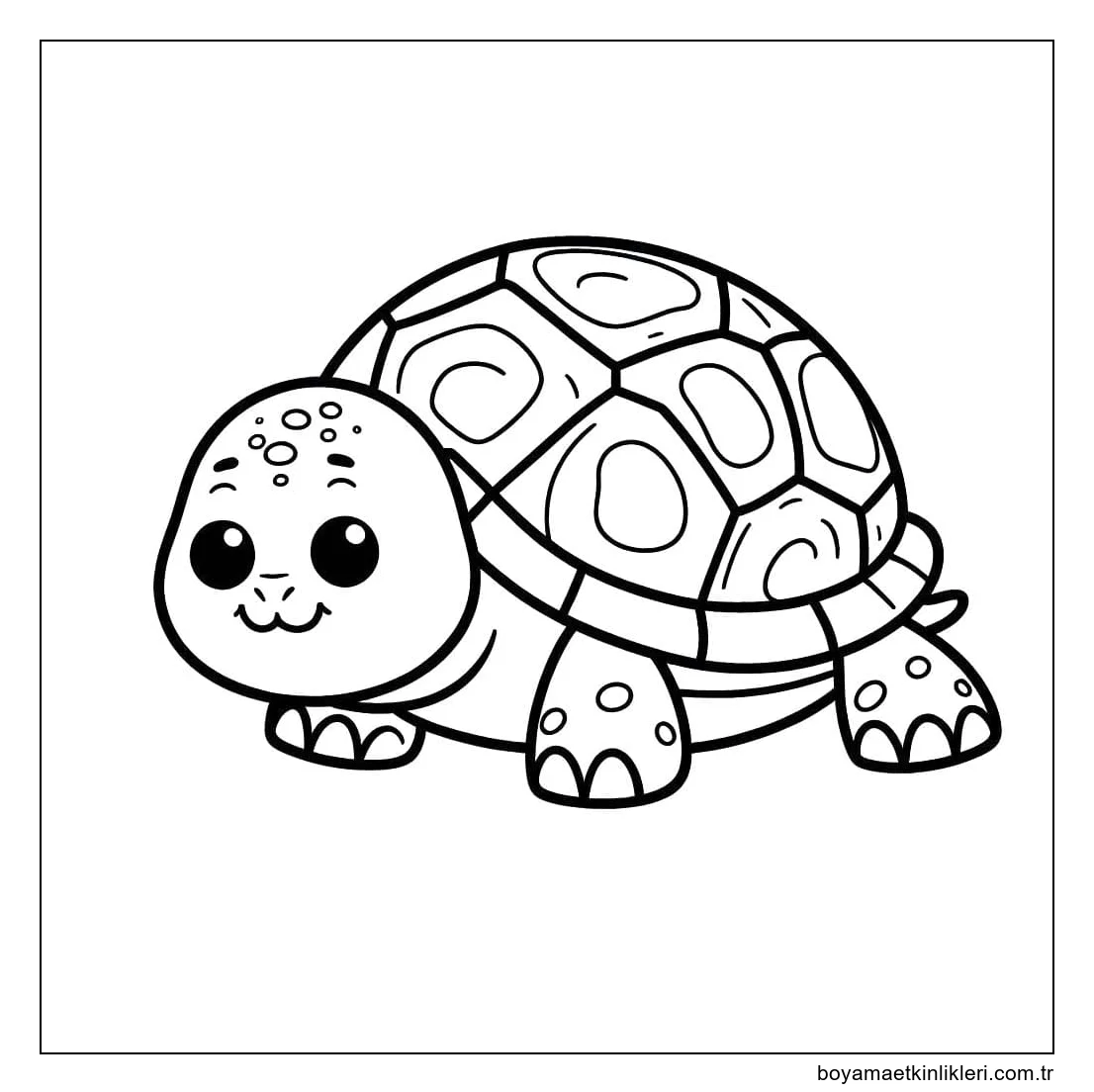 Yazdırılabilir Çizim Kaplumbağa