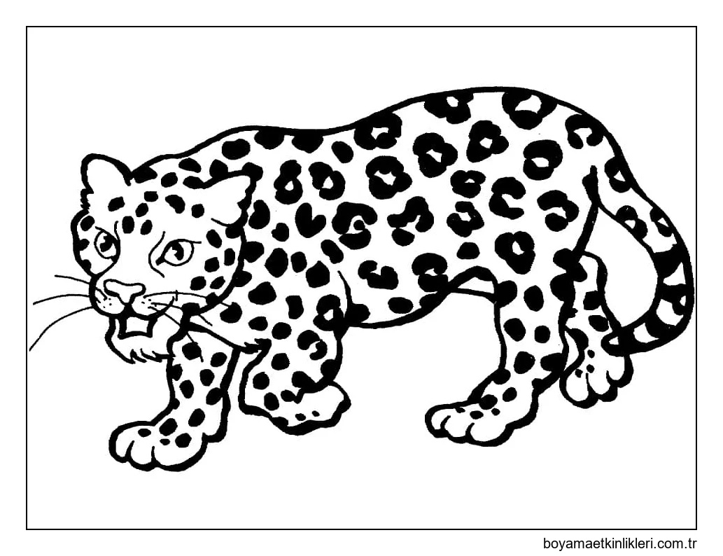 Yazdırılabilir leopar