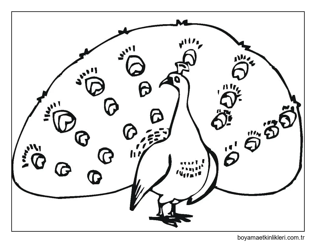 Yazdırılabilir Tavuskuşu
