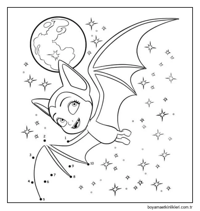 Yıldızlı Gökyüzünde Uçuşlar