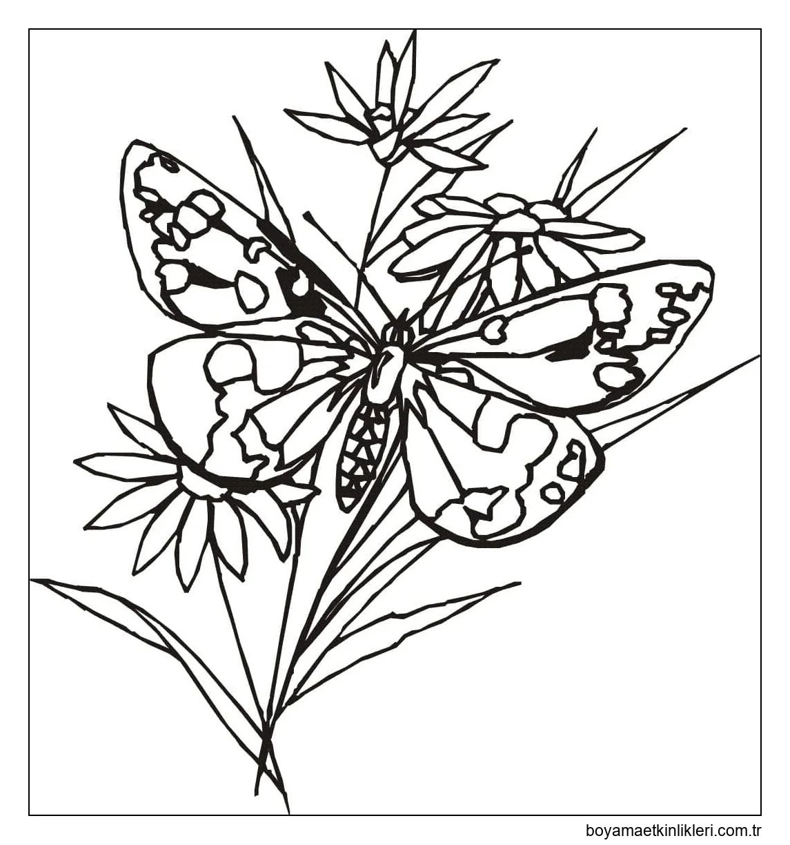 Çiçekli Bir Kelebek