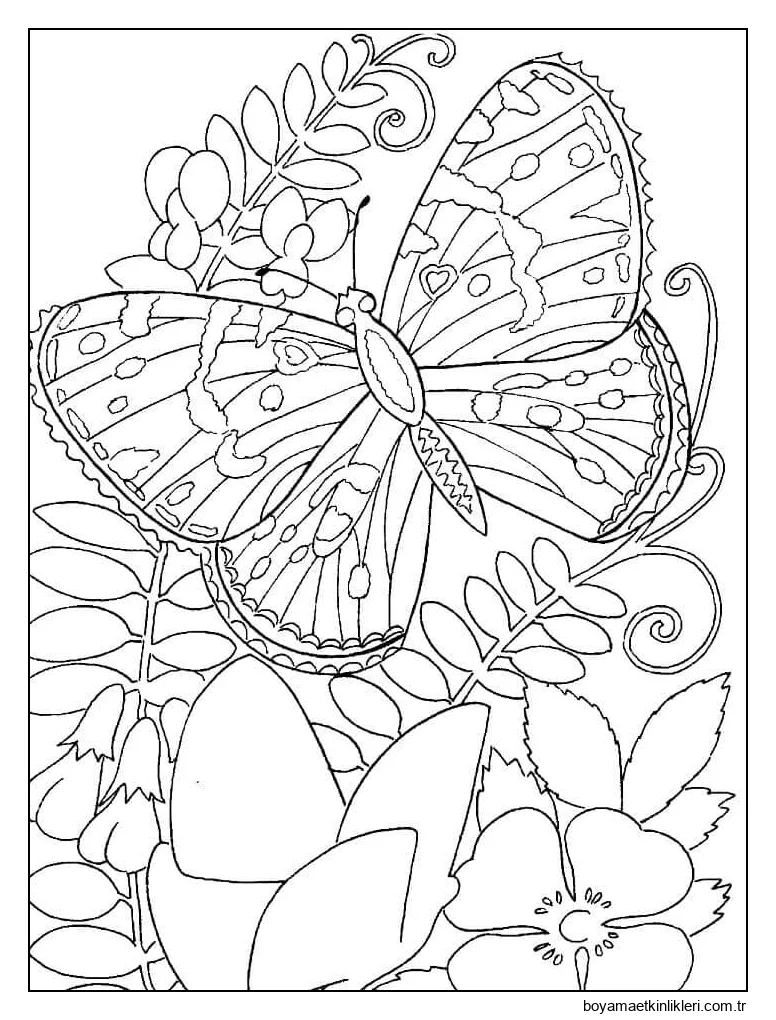 Çiçekli Temel Kelebek