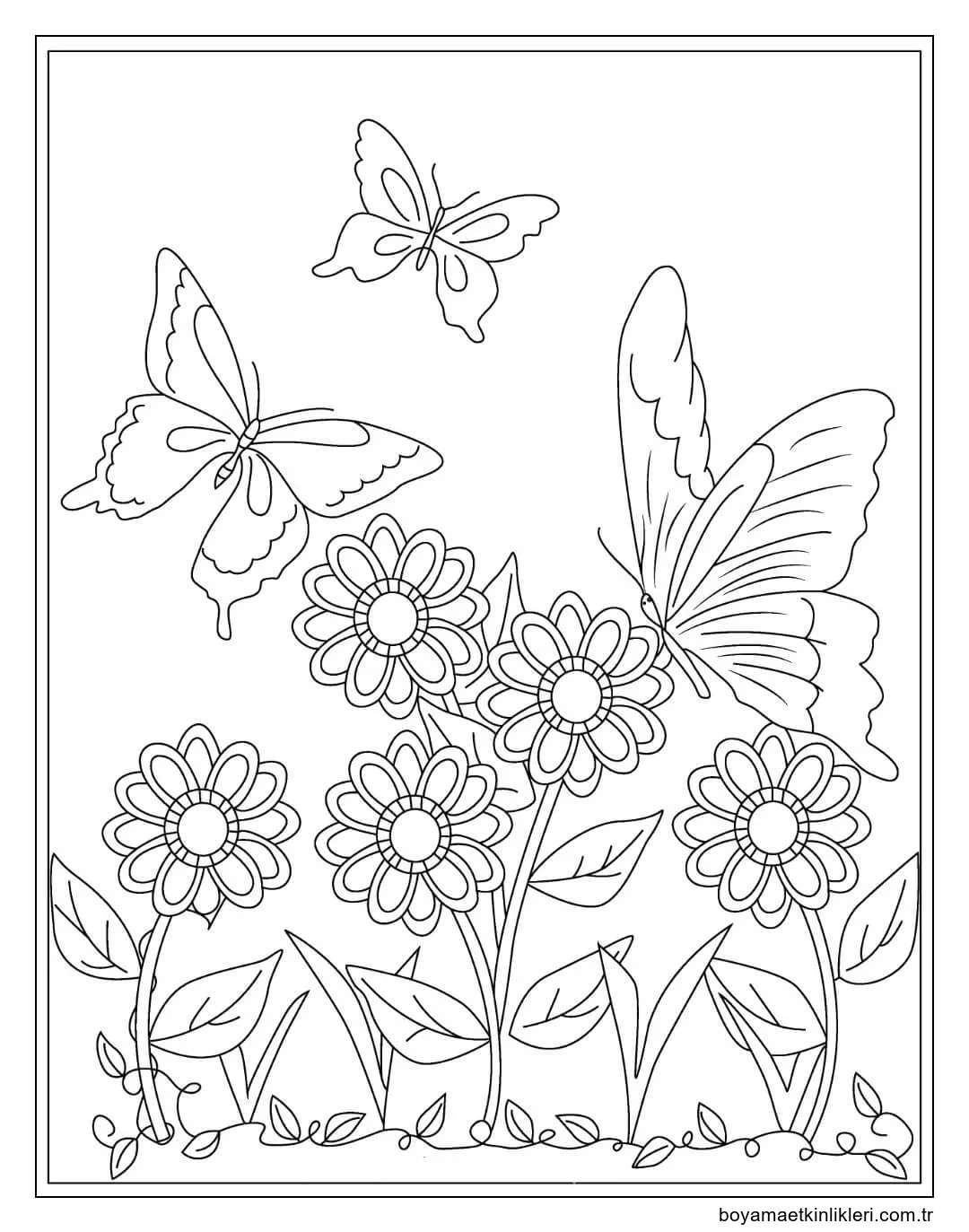 Çiçekli Üç Kelebek