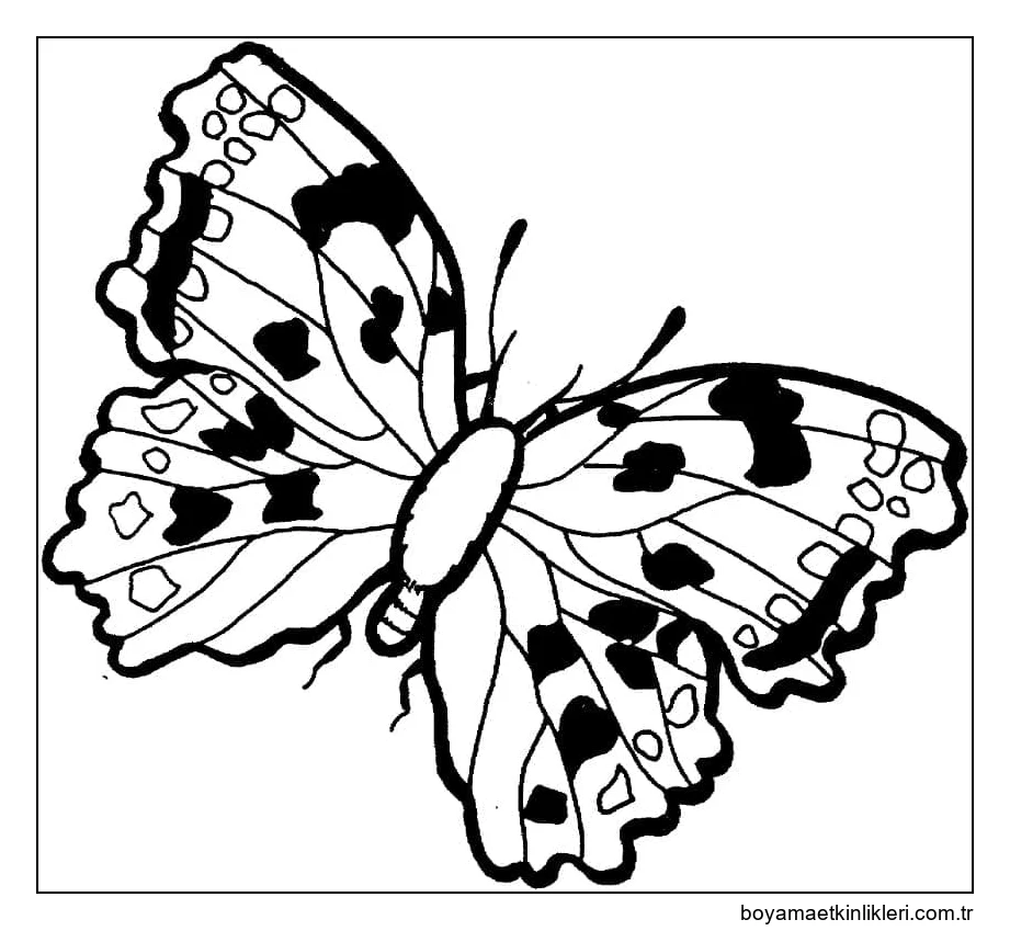 Çocuklar İçin Kelebek