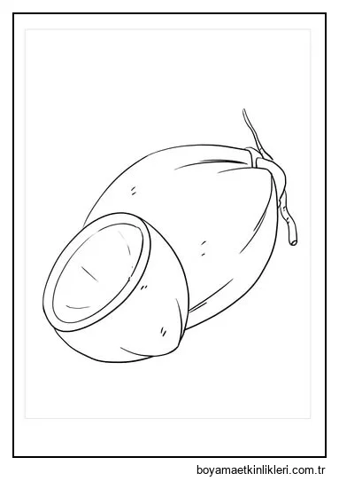 Harika Hindistan Cevizi