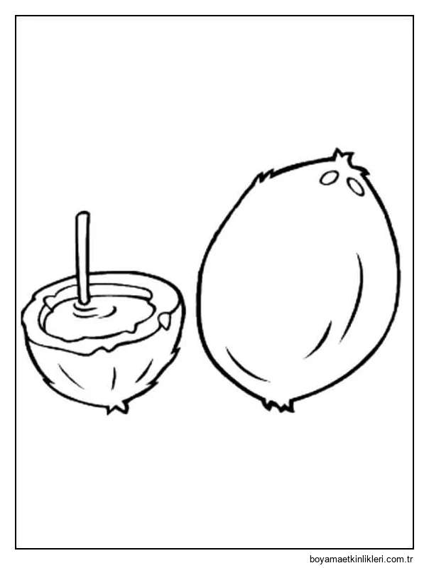 Hindistan Cevizi ve İçecek Hindistan Cevizi