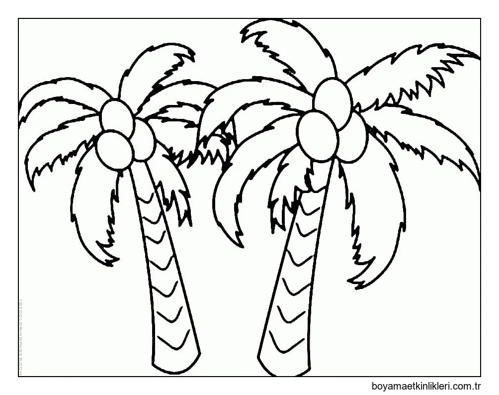 İki Basit Hindistan Cevizi Ağacı
