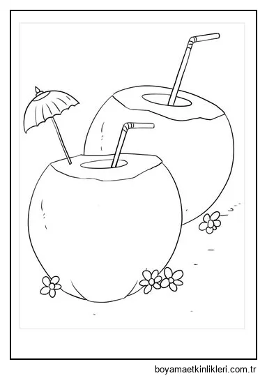 İki Hindistan Cevizi İçecek