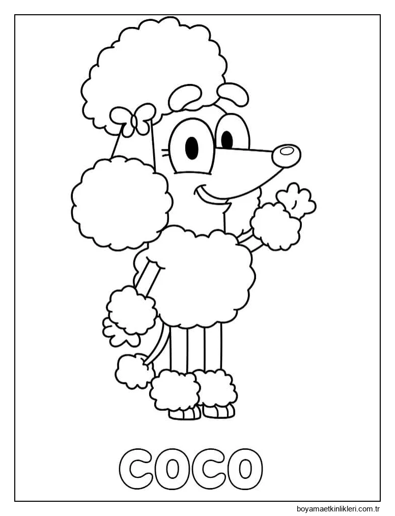 Kaniş Hindistan Cevizi