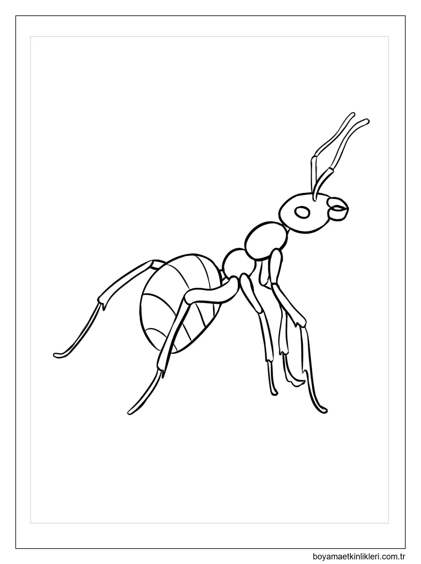 Karınca Bedava Görüntüler