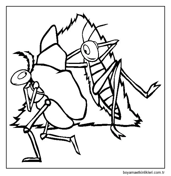 Karınca ve Çekirge