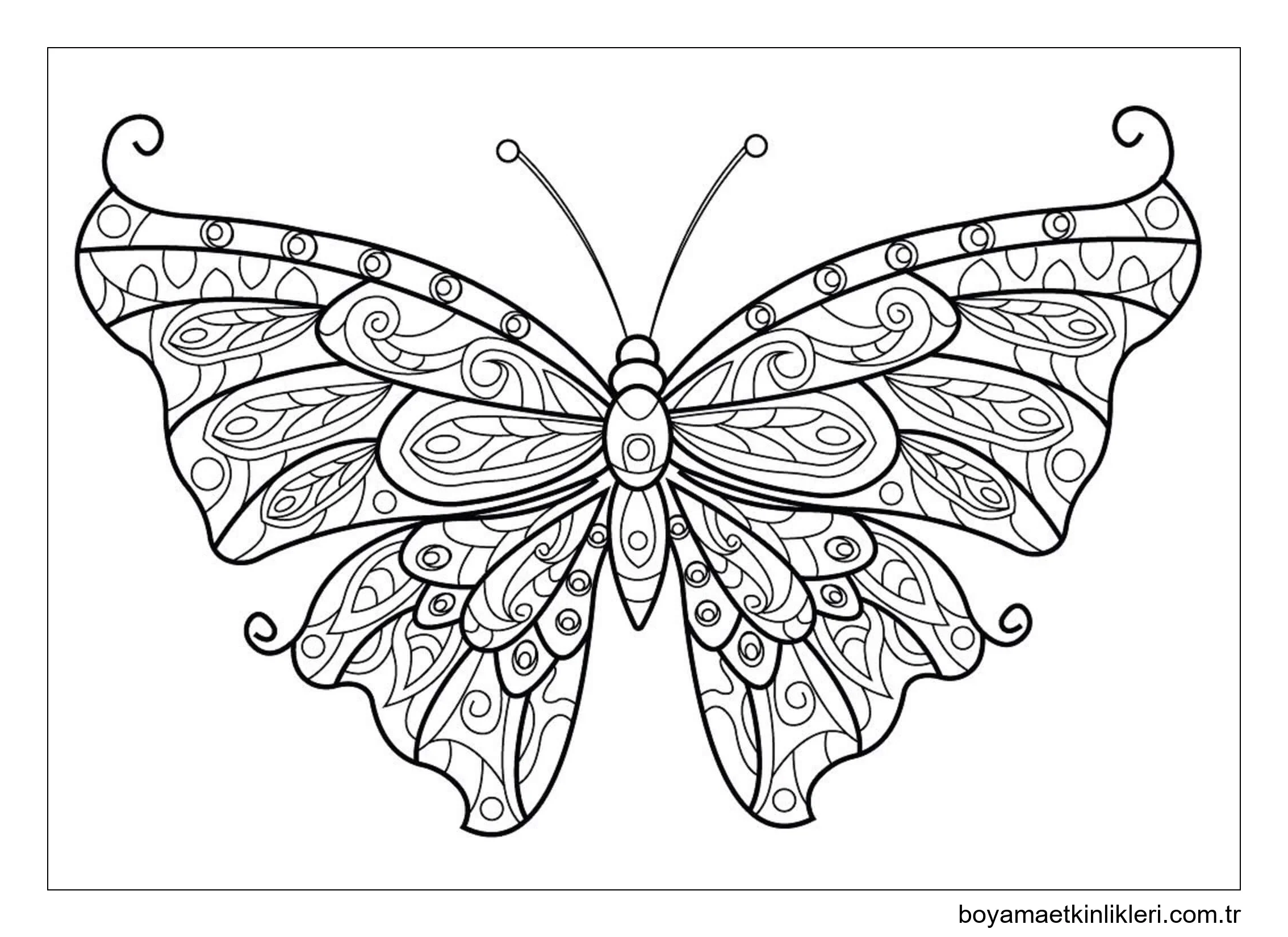 Kelebek Mandala