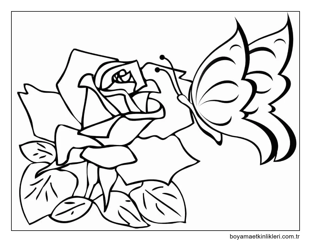 Kelebek ve Gül Çiçekleri