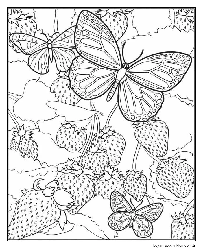 Kelebekler ve Çilekler